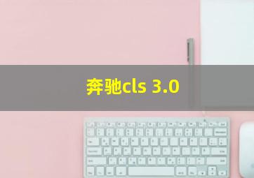 奔驰cls 3.0